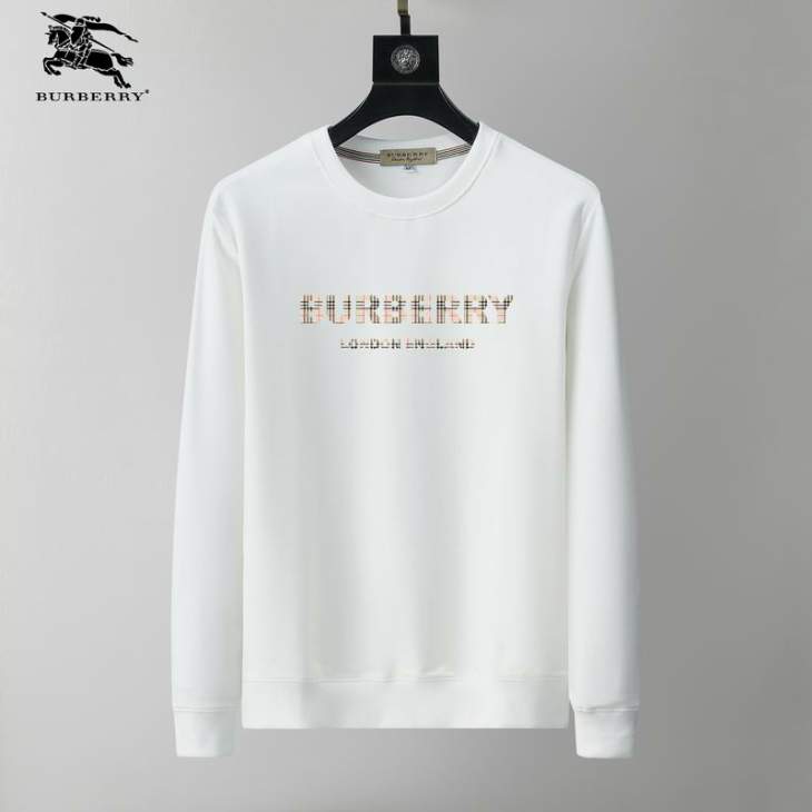 Picture of Burberry Sweatshirt _SKUBurberryM-3XL25tx14830793